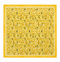 Yellow Nana Silk Scarf